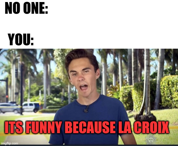 David Hogg | NO ONE: YOU: ITS FUNNY BECAUSE LA CROIX | image tagged in david hogg | made w/ Imgflip meme maker