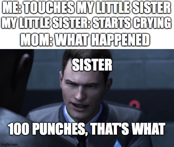 28 stab wounds | ME: TOUCHES MY LITTLE SISTER; MY LITTLE SISTER: STARTS CRYING; MOM: WHAT HAPPENED; SISTER; 100 PUNCHES, THAT'S WHAT | image tagged in 28 stab wounds | made w/ Imgflip meme maker