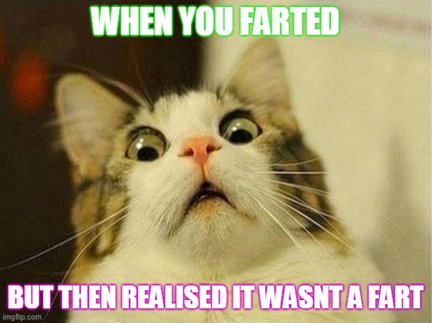 Scared Cat Meme | WHEN YOU FARTED; BUT THEN REALISED IT WASNT A FART | image tagged in memes,scared cat | made w/ Imgflip meme maker