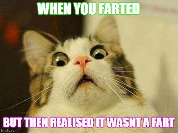 Scared Cat | WHEN YOU FARTED; BUT THEN REALISED IT WASNT A FART | image tagged in memes,scared cat | made w/ Imgflip meme maker