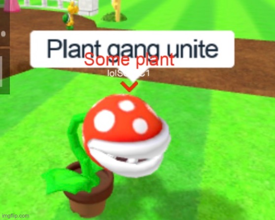 Plant gang unite | image tagged in plant gang unite | made w/ Imgflip meme maker