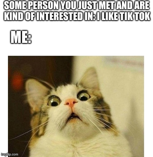 Yas | SOME PERSON YOU JUST MET AND ARE KIND OF INTERESTED IN: I LIKE TIK TOK; ME: | image tagged in scared cat,tik tok,tiktok,cat | made w/ Imgflip meme maker