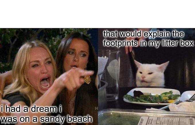 Woman Yelling At Cat Meme | that would explain the footprints in my litter box; i had a dream i was on a sandy beach | image tagged in memes,woman yelling at cat,repost | made w/ Imgflip meme maker