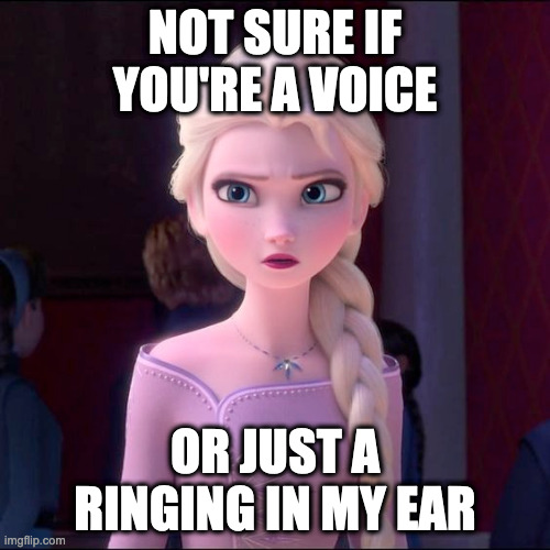 Do You Hear That? | NOT SURE IF YOU'RE A VOICE; OR JUST A RINGING IN MY EAR | image tagged in memes,frozen 2,elsa frozen | made w/ Imgflip meme maker
