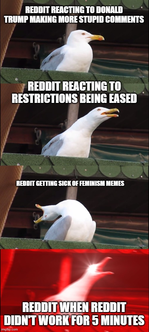 Inhaling Seagull Meme | REDDIT REACTING TO DONALD TRUMP MAKING MORE STUPID COMMENTS; REDDIT REACTING TO RESTRICTIONS BEING EASED; REDDIT GETTING SICK OF FEMINISM MEMES; REDDIT WHEN REDDIT DIDN'T WORK FOR 5 MINUTES | image tagged in memes,inhaling seagull,memes | made w/ Imgflip meme maker