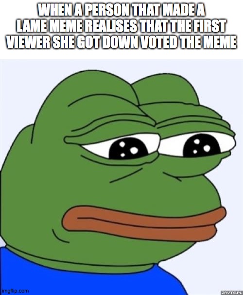 sad frog | WHEN A PERSON THAT MADE A LAME MEME REALISES THAT THE FIRST VIEWER SHE GOT DOWN VOTED THE MEME | image tagged in sad frog | made w/ Imgflip meme maker