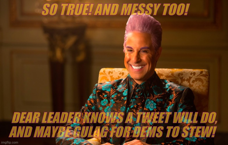 Caesar Flickerman (Stanley Tucci) | SO TRUE! AND MESSY TOO! DEAR LEADER KNOWS A TWEET WILL DO,   AND MAYBE GULAG FOR DEMS TO STEW! | image tagged in caesar flickerman stanley tucci | made w/ Imgflip meme maker