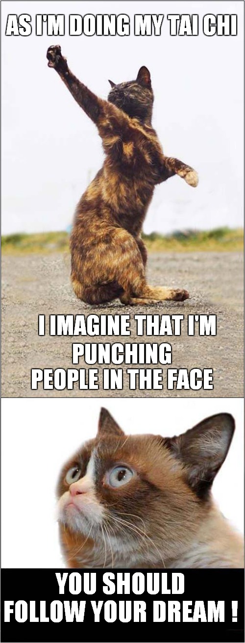Grumpys Tai Chi Encouragement | AS I'M DOING MY TAI CHI; I IMAGINE THAT I'M; PUNCHING PEOPLE IN THE FACE; YOU SHOULD FOLLOW YOUR DREAM ! | image tagged in fun,grumpy cat,tai chi,violence | made w/ Imgflip meme maker