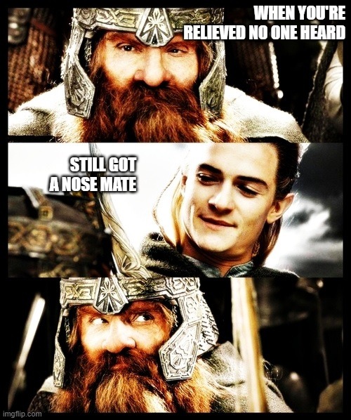 LOTR Side by Side | WHEN YOU'RE RELIEVED NO ONE HEARD; STILL GOT A NOSE MATE | image tagged in lotr side by side | made w/ Imgflip meme maker