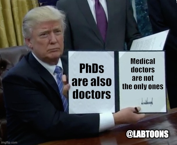 phd doctor meme