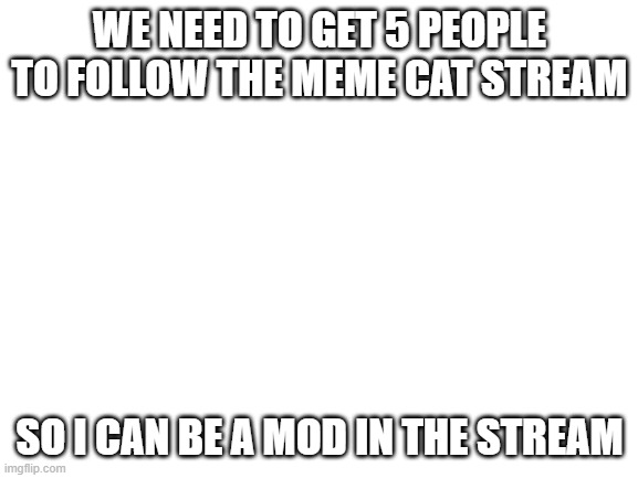 Blank White Template | WE NEED TO GET 5 PEOPLE TO FOLLOW THE MEME CAT STREAM; SO I CAN BE A MOD IN THE STREAM | image tagged in blank white template | made w/ Imgflip meme maker