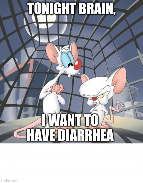 Diarrhea pinky | TONIGHT BRAIN, I WANT TO HAVE DIARRHEA | image tagged in pinky and the brain | made w/ Imgflip meme maker