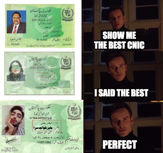 Alex bhatti tik tokker | SHOW ME THE BEST CNIC; I SAID THE BEST; PERFECT | image tagged in perfection | made w/ Imgflip meme maker