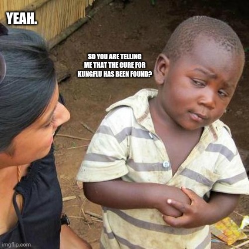 Third World Skeptical Kid Meme | YEAH. SO YOU ARE TELLING ME THAT THE CURE FOR KUNGFLU HAS BEEN FOUND? | image tagged in memes,third world skeptical kid,joke | made w/ Imgflip meme maker