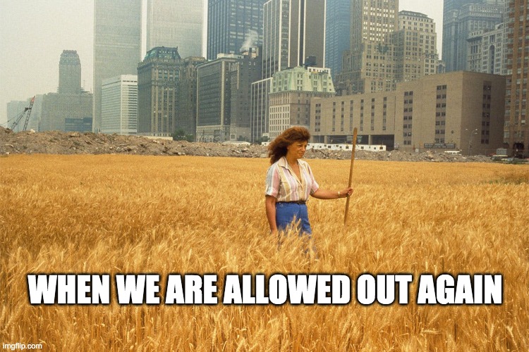 When We Are Allowed Out Again | WHEN WE ARE ALLOWED OUT AGAIN | image tagged in art memes,land art,agnes denes,covid,quarantine,isolation | made w/ Imgflip meme maker