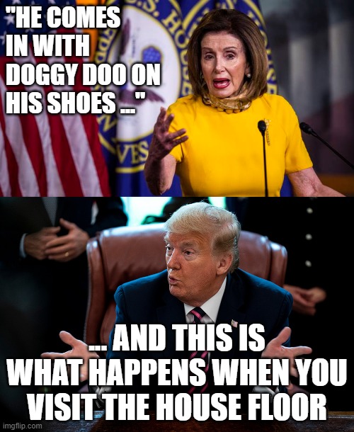 Nancy Spreads Doggy Doo | "HE COMES IN WITH DOGGY DOO ON HIS SHOES ..."; ... AND THIS IS WHAT HAPPENS WHEN YOU VISIT THE HOUSE FLOOR | image tagged in donald trump,nancy pelosi,trump 2020 | made w/ Imgflip meme maker