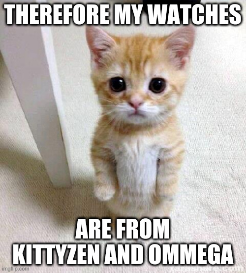 Cute Cat Meme | THEREFORE MY WATCHES ARE FROM KITTYZEN AND OMMEGA | image tagged in memes,cute cat | made w/ Imgflip meme maker