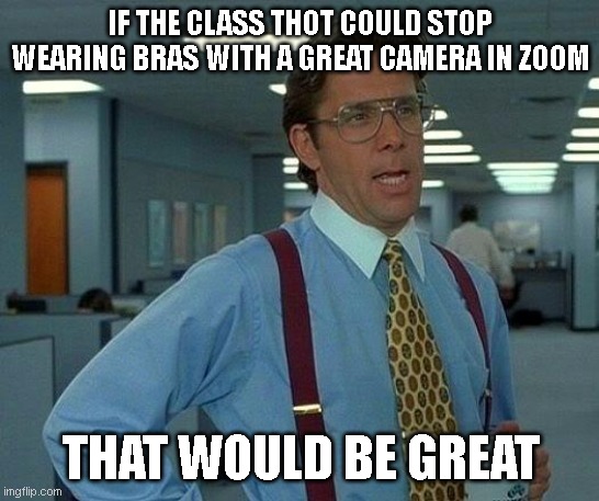 That Would Be Great Meme | IF THE CLASS THOT COULD STOP WEARING BRAS WITH A GREAT CAMERA IN ZOOM; THAT WOULD BE GREAT | image tagged in memes,that would be great | made w/ Imgflip meme maker