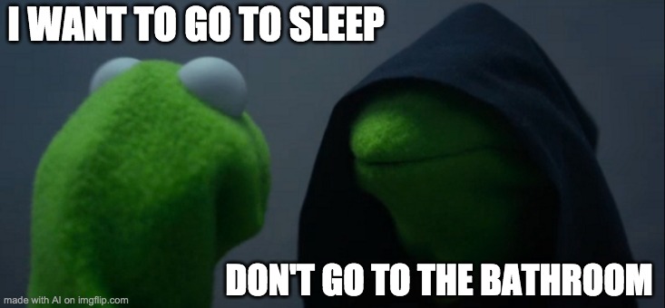 Kermit and Evil Kermit | I WANT TO GO TO SLEEP; DON'T GO TO THE BATHROOM | image tagged in memes,evil kermit,funny,sleep,baby jesus for mod | made w/ Imgflip meme maker