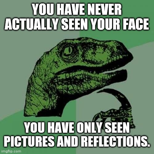 Philosoraptor | YOU HAVE NEVER ACTUALLY SEEN YOUR FACE; YOU HAVE ONLY SEEN PICTURES AND REFLECTIONS. | image tagged in memes,philosoraptor | made w/ Imgflip meme maker