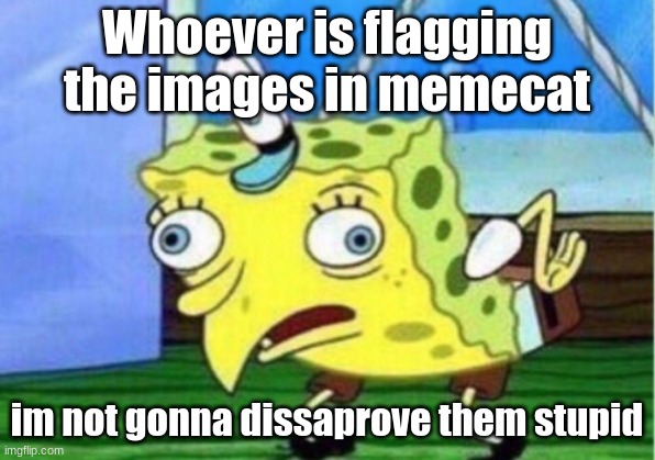 Mocking Spongebob Meme | Whoever is flagging the images in memecat; im not gonna dissaprove them stupid | image tagged in memes,mocking spongebob | made w/ Imgflip meme maker