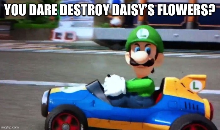YOU DARE DESTROY DAISY’S FLOWERS? | made w/ Imgflip meme maker