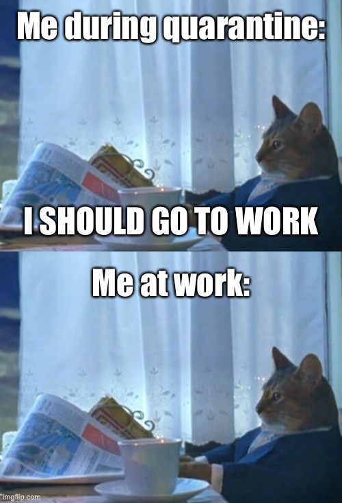 lol | Me during quarantine:; I SHOULD GO TO WORK; Me at work: | image tagged in memes,i should buy a boat cat,quarantine,lockdown,work,work from home | made w/ Imgflip meme maker
