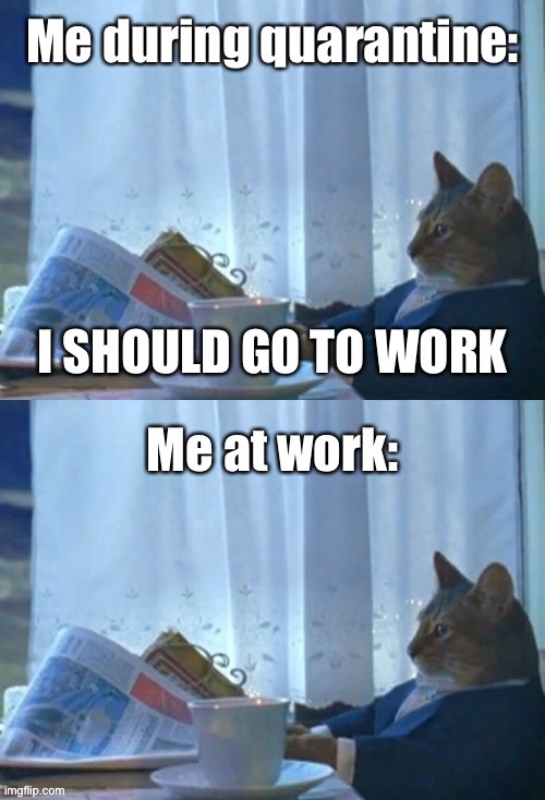 I had a pretty easy quarantine | image tagged in work,work from home,memes,i should buy a boat cat,quarantine,covid-19 | made w/ Imgflip meme maker