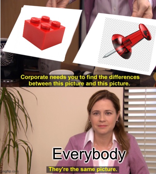 They're The Same Picture Meme | Everybody | image tagged in memes,they're the same picture | made w/ Imgflip meme maker