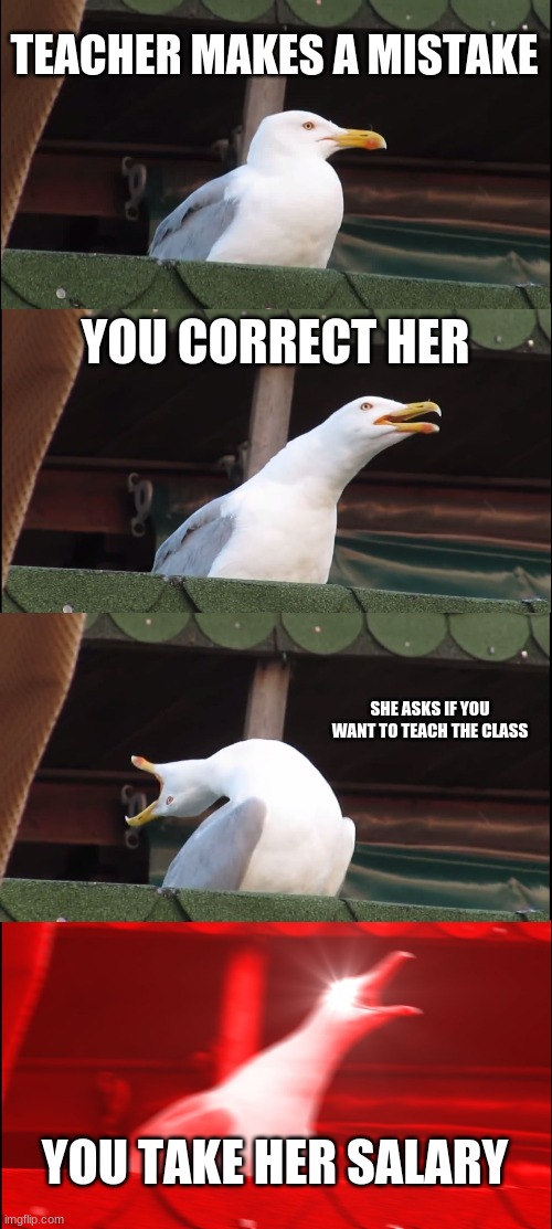 love it when that happens |  TEACHER MAKES A MISTAKE; YOU CORRECT HER; SHE ASKS IF YOU WANT TO TEACH THE CLASS; YOU TAKE HER SALARY | image tagged in memes,inhaling seagull | made w/ Imgflip meme maker