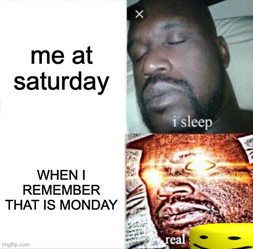 WE HATE MONDAY | me at saturday; WHEN I REMEMBER THAT IS MONDAY | image tagged in memes,sleeping shaq | made w/ Imgflip meme maker