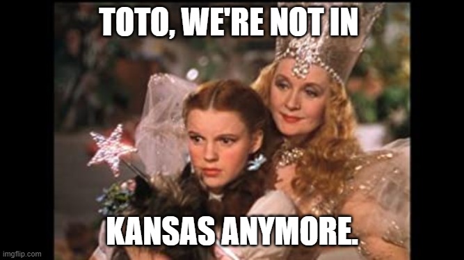 Response to COVID-19 | TOTO, WE'RE NOT IN; KANSAS ANYMORE. | image tagged in wizard of oz | made w/ Imgflip meme maker