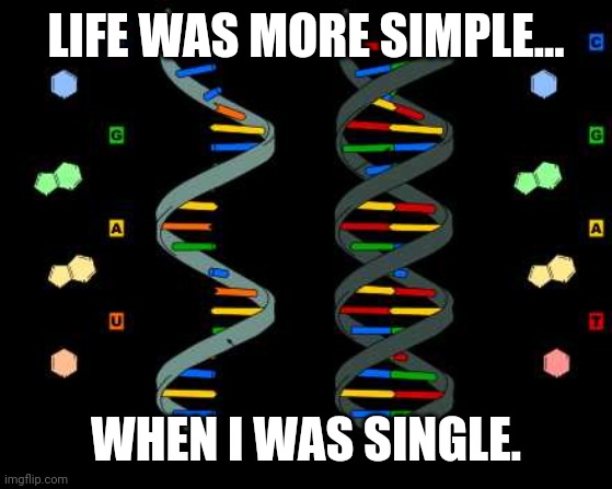 Life was more simple. | LIFE WAS MORE SIMPLE... WHEN I WAS SINGLE. | image tagged in life was more simple | made w/ Imgflip meme maker
