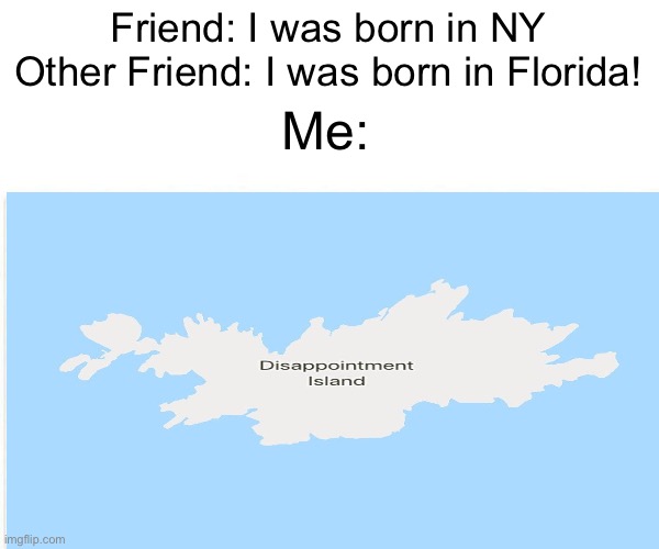 No title | Friend: I was born in NY
Other Friend: I was born in Florida! Me: | image tagged in dissapointed | made w/ Imgflip meme maker