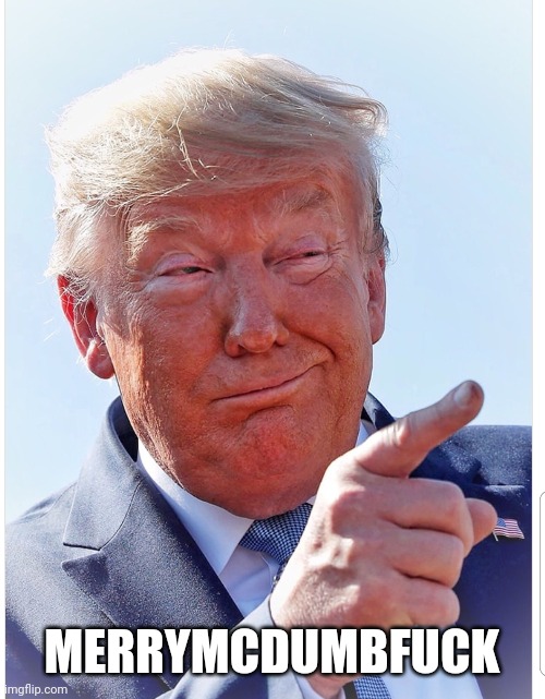 Trump pointing | MERRYMCDUMBFUCK | image tagged in trump pointing | made w/ Imgflip meme maker