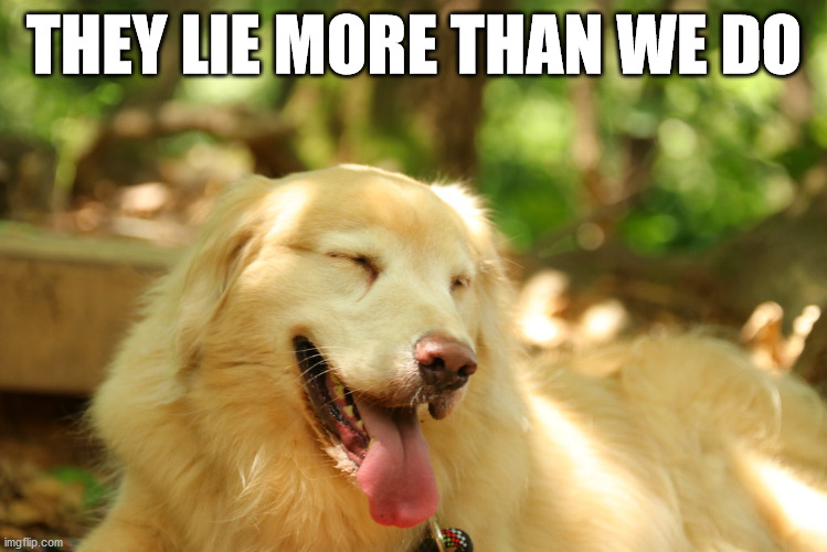 Dog laughing | THEY LIE MORE THAN WE DO | image tagged in dog laughing | made w/ Imgflip meme maker
