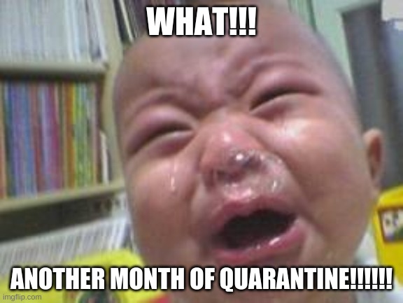 Funny crying baby! |  WHAT!!! ANOTHER MONTH OF QUARANTINE!!!!!! | image tagged in funny crying baby | made w/ Imgflip meme maker