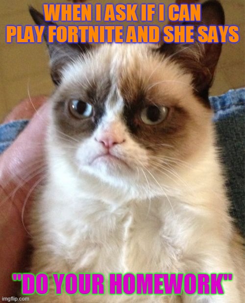 Grumpy Cat Meme | WHEN I ASK IF I CAN PLAY FORTNITE AND SHE SAYS; "DO YOUR HOMEWORK" | image tagged in memes,grumpy cat | made w/ Imgflip meme maker