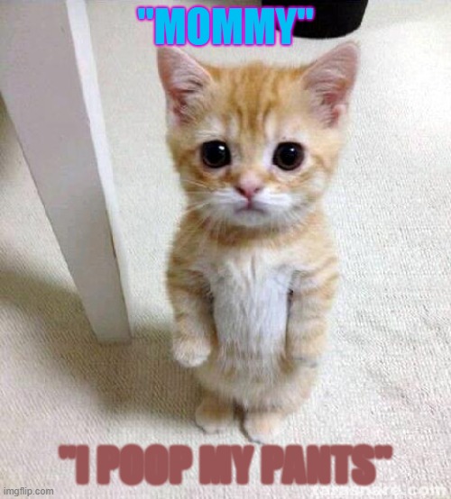 Cute Cat | "MOMMY"; "I POOP MY PANTS" | image tagged in memes,cute cat | made w/ Imgflip meme maker