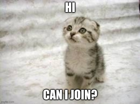 please | HI; CAN I JOIN? | image tagged in memes,sad cat | made w/ Imgflip meme maker