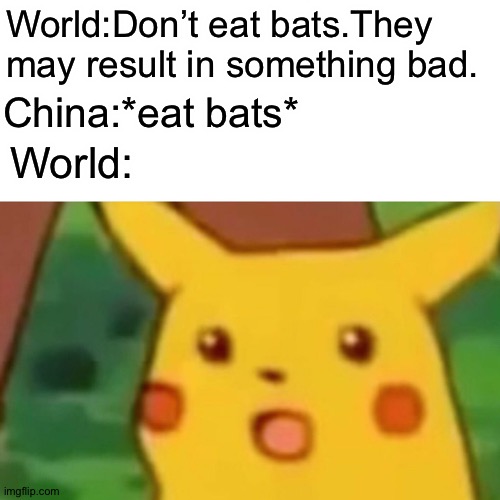 How it all started | World:Don’t eat bats.They may result in something bad. China:*eat bats*; World: | image tagged in memes,surprised pikachu | made w/ Imgflip meme maker