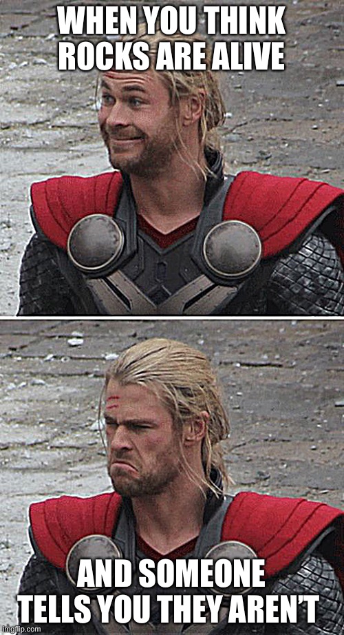 Thor learns about rocks | WHEN YOU THINK ROCKS ARE ALIVE; AND SOMEONE TELLS YOU THEY AREN’T | image tagged in thor happy then sad | made w/ Imgflip meme maker