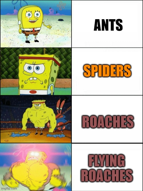 Increasingly buff spongebob | ANTS; SPIDERS; ROACHES; FLYING ROACHES | image tagged in increasingly buff spongebob | made w/ Imgflip meme maker
