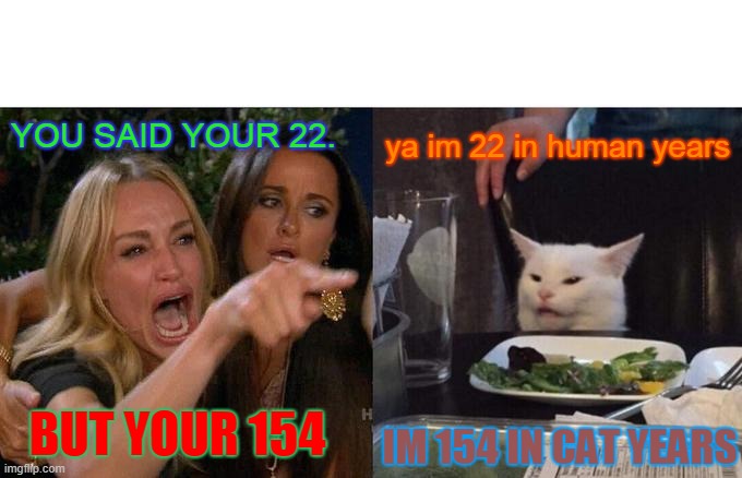 Woman Yelling At Cat | YOU SAID YOUR 22. ya im 22 in human years; BUT YOUR 154; IM 154 IN CAT YEARS | image tagged in memes,woman yelling at cat | made w/ Imgflip meme maker