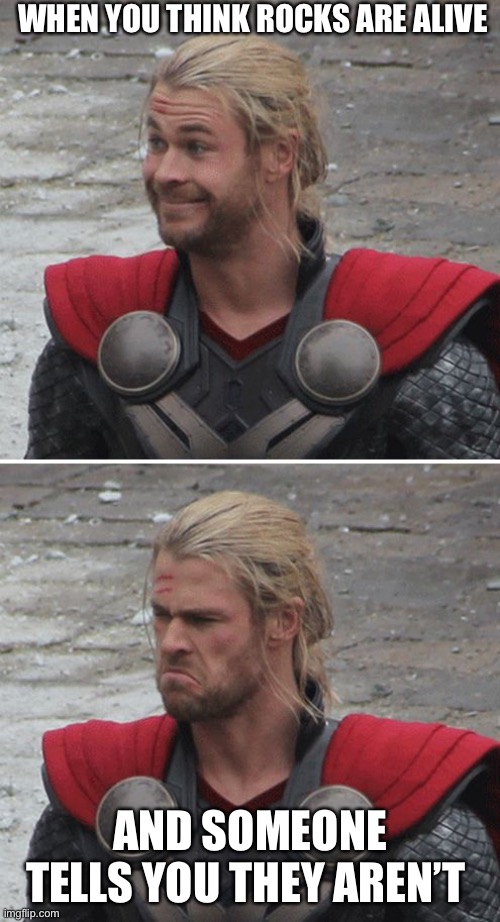 Thor happy then sad | WHEN YOU THINK ROCKS ARE ALIVE; AND SOMEONE TELLS YOU THEY AREN’T | image tagged in thor happy then sad | made w/ Imgflip meme maker