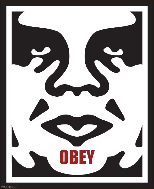 OBEY | OBEY | image tagged in obey | made w/ Imgflip meme maker
