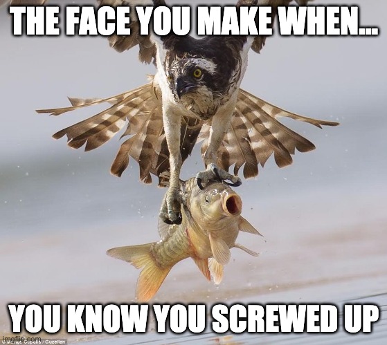 The face you make... | THE FACE YOU MAKE WHEN... YOU KNOW YOU SCREWED UP | image tagged in that moment when,that face you make when,that face you make,that face tho,face,when you realize | made w/ Imgflip meme maker