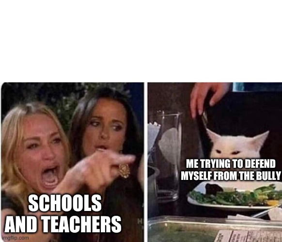 Lady screams at cat | SCHOOLS AND TEACHERS; ME TRYING TO DEFEND MYSELF FROM THE BULLY | image tagged in lady screams at cat | made w/ Imgflip meme maker