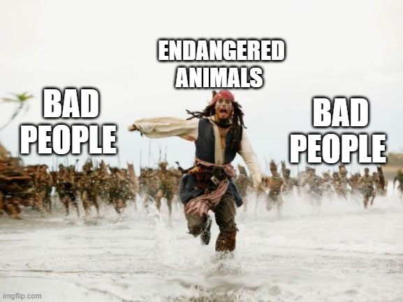 Jack Sparrow Being Chased Meme | ENDANGERED ANIMALS; BAD PEOPLE; BAD PEOPLE | image tagged in memes,jack sparrow being chased | made w/ Imgflip meme maker