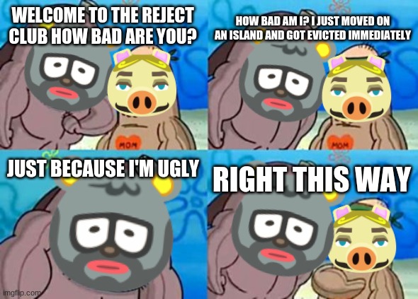 How Tough Are You Meme | HOW BAD AM I? I JUST MOVED ON AN ISLAND AND GOT EVICTED IMMEDIATELY; WELCOME TO THE REJECT CLUB HOW BAD ARE YOU? JUST BECAUSE I'M UGLY; RIGHT THIS WAY | image tagged in memes,how tough are you,animal crossing | made w/ Imgflip meme maker